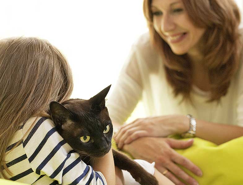 ines kunze tiergestuetzte therapie katze joshi